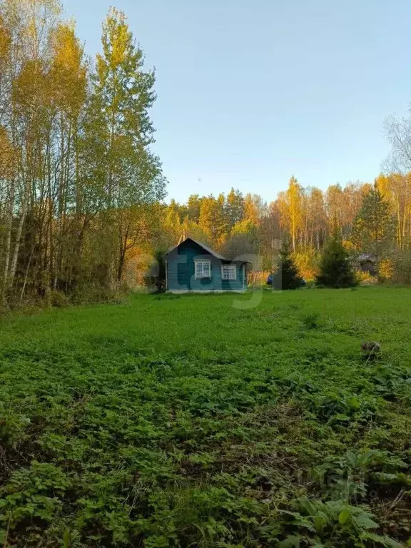 Участок в Костромская область, Красносельский район, Гридинское с/пос, ... - Фото 2