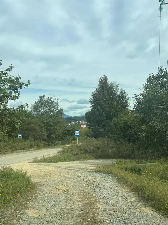 Участок в Приморский край, Партизанский муниципальный округ, Лебединая ... - Фото 1