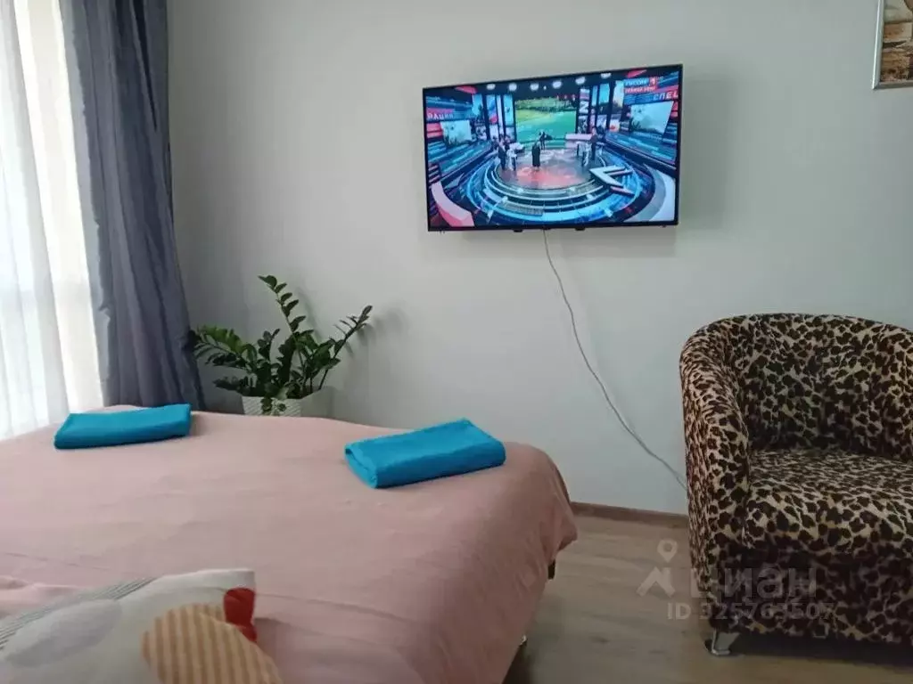 Студия Санкт-Петербург Варфоломеевская ул., 6 (22.0 м) - Фото 2