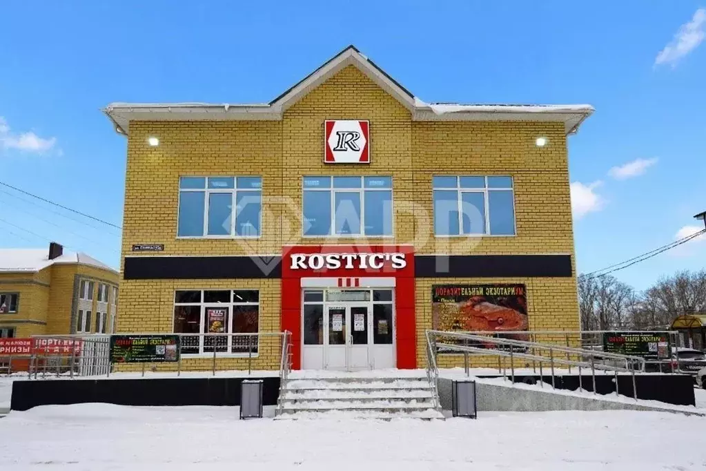 Помещение свободного назначения в Марий Эл, Волжск ул. Ленина, 55Д ... - Фото 1