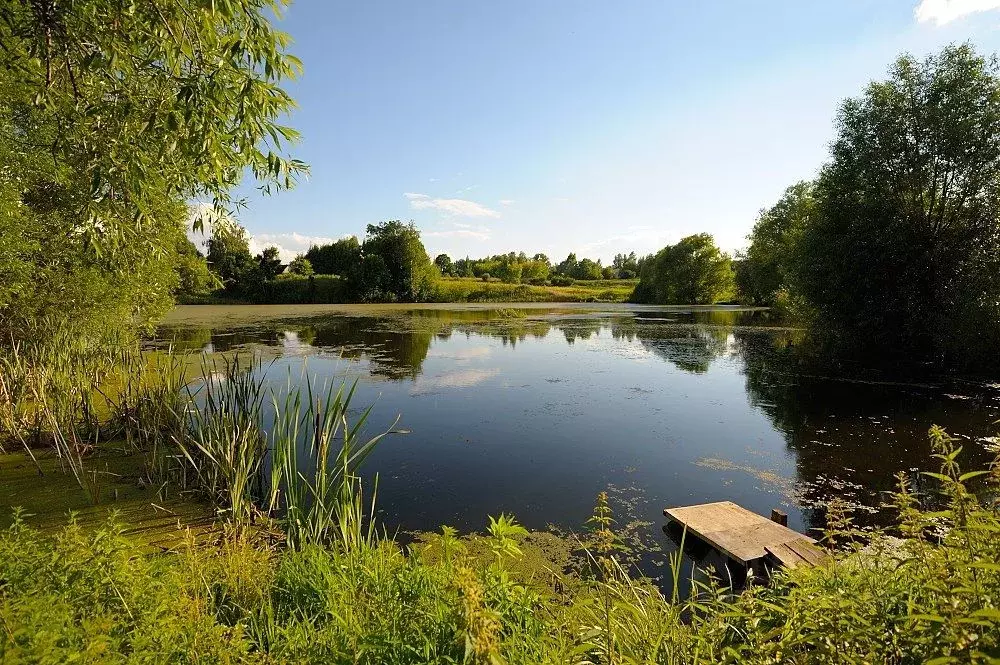 Участок в Тульская область, Заокский район, Демидовское с/пос, д. ... - Фото 1