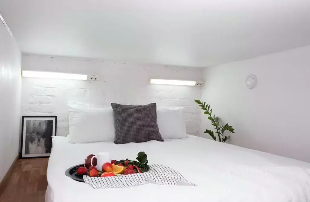 Студия Санкт-Петербург Московский просп., 1/2 (16.0 м) - Фото 2