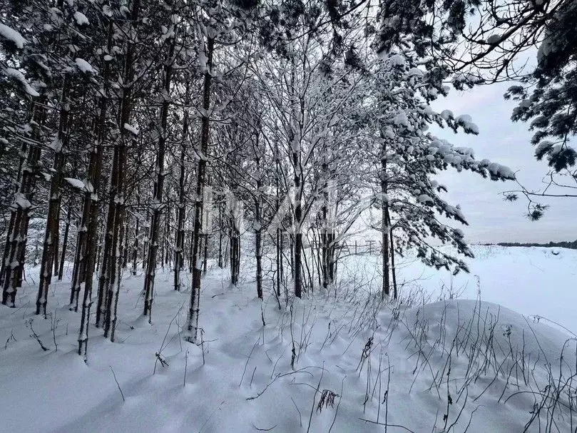 Участок в Ленинградская область, Приозерский район, Запорожское с/пос, ... - Фото 2