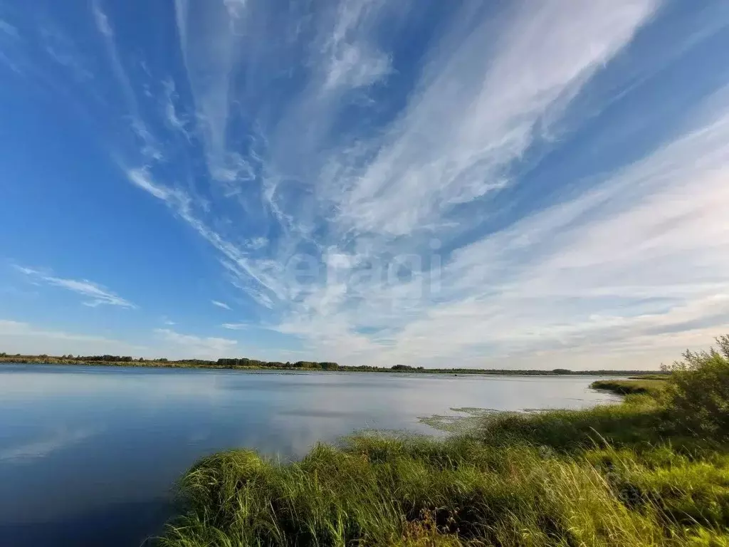Участок в Свердловская область, Тугулымский муниципальный округ, д. ... - Фото 1