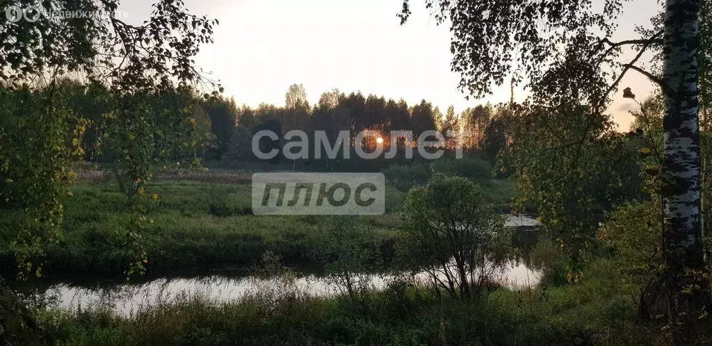 Участок в Ярославская область, Рыбинский муниципальный округ, деревня ... - Фото 1