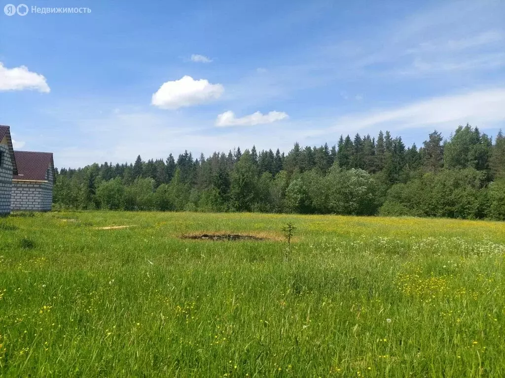 Участок в Тосненский район, Форносовское городское поселение, ... - Фото 1