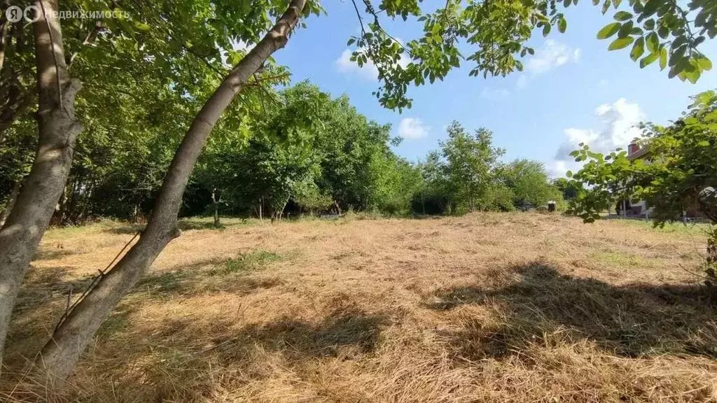 Участок в Краснодарский край, муниципальный округ Анапа, хутор ... - Фото 1
