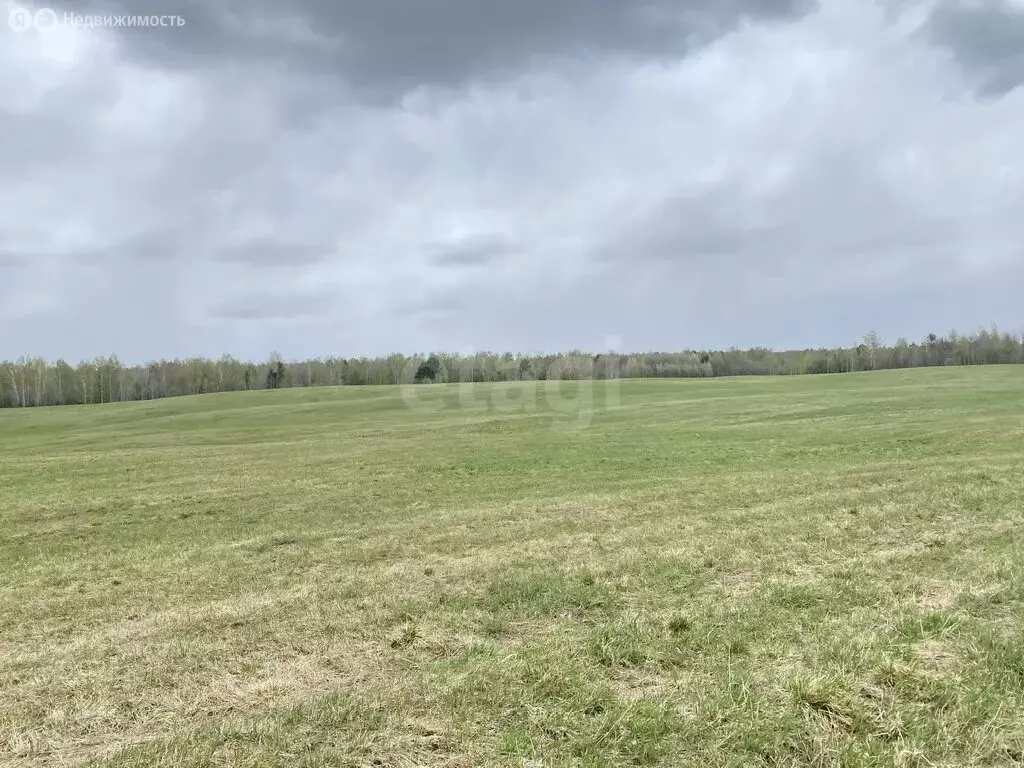 Участок в Томский район, село Корнилово (150 м) - Фото 2