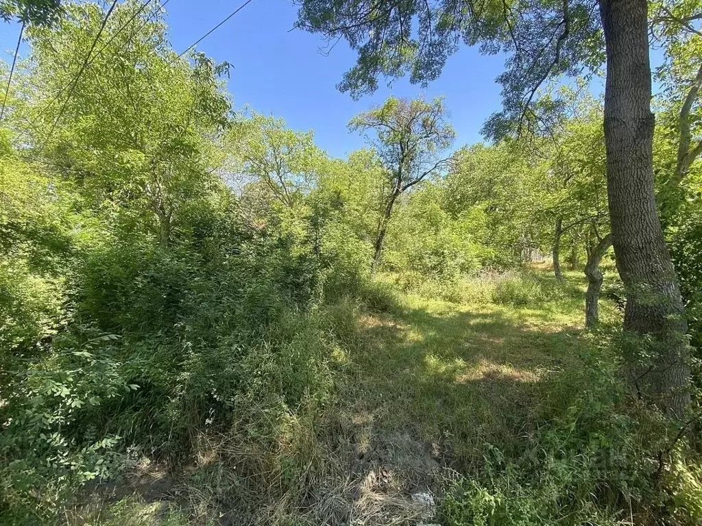 Участок в Краснодарский край, Анапа муниципальный округ, с. Сукко ул. ... - Фото 2