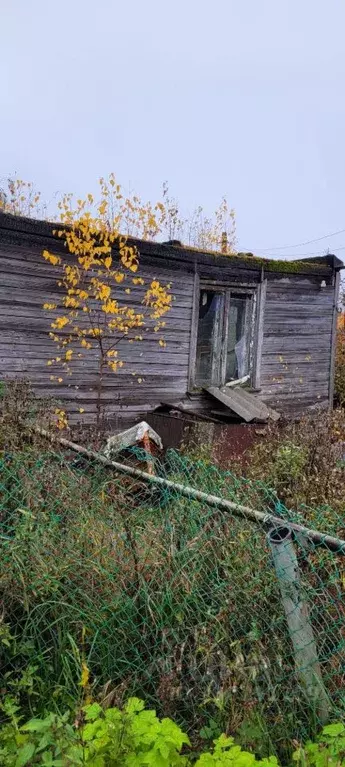 Помещение свободного назначения в Вологодская область, Шекснинский ... - Фото 2