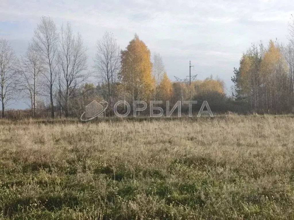 Участок в Тюменская область, Тюмень Р-404, 21-й км, 79 (6.9 сот.) - Фото 2