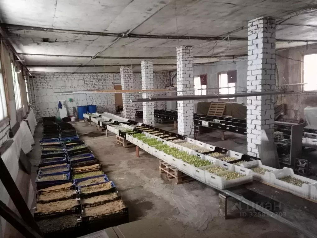 Помещение свободного назначения в Марий Эл, Йошкар-Ола ул. Суворова, ... - Фото 1