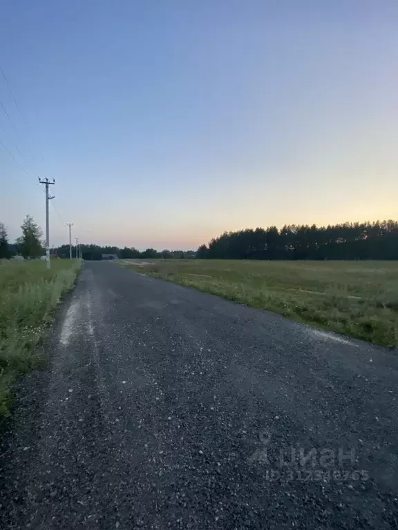 Участок в Татарстан, Зеленодольский район, Большеключинское с/пос, д. ... - Фото 1