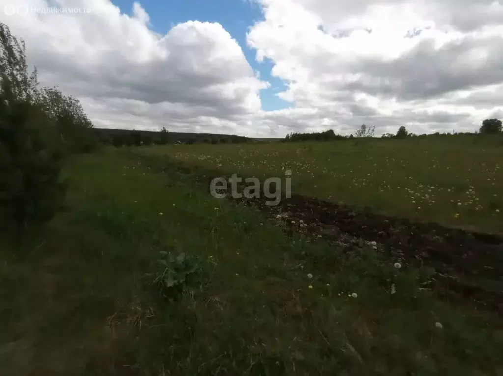 Участок в Свердловская область, село Кайгородское (20 м) - Фото 1