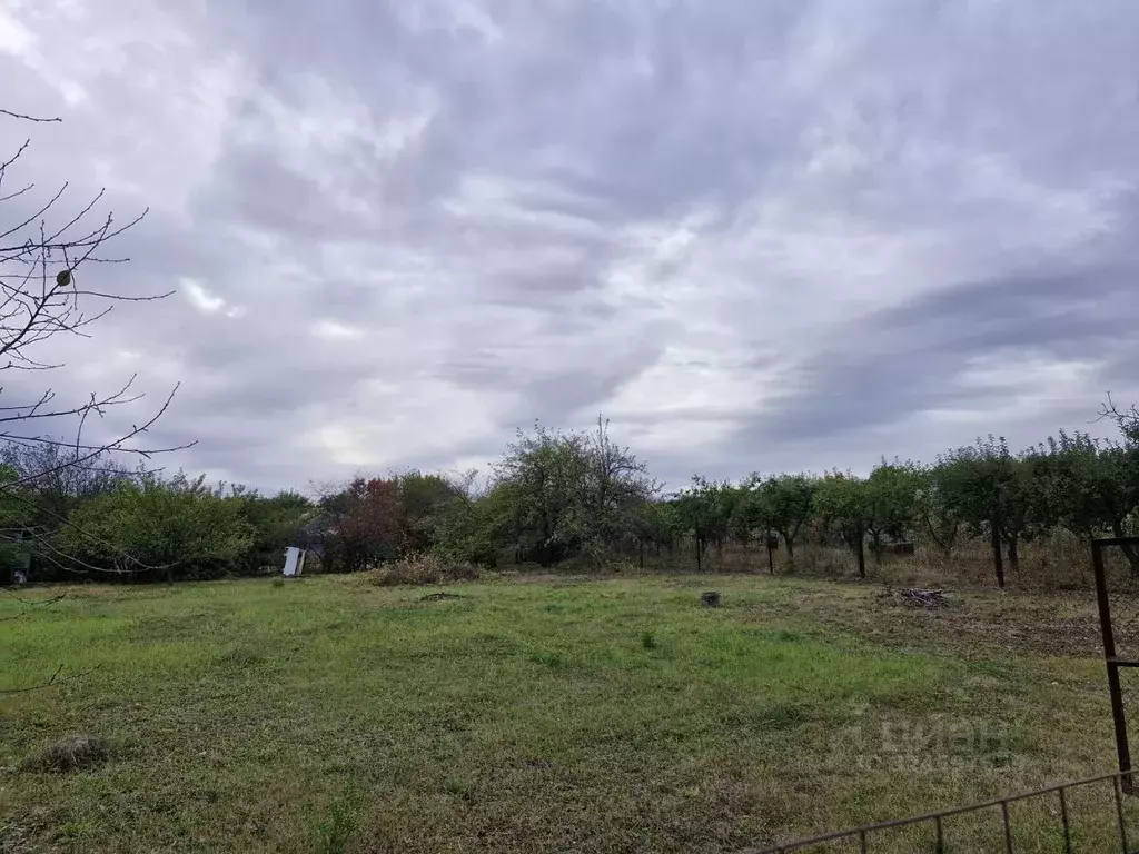 Участок в Курская область, Курский район, Моковский сельсовет, Сосенка ... - Фото 1