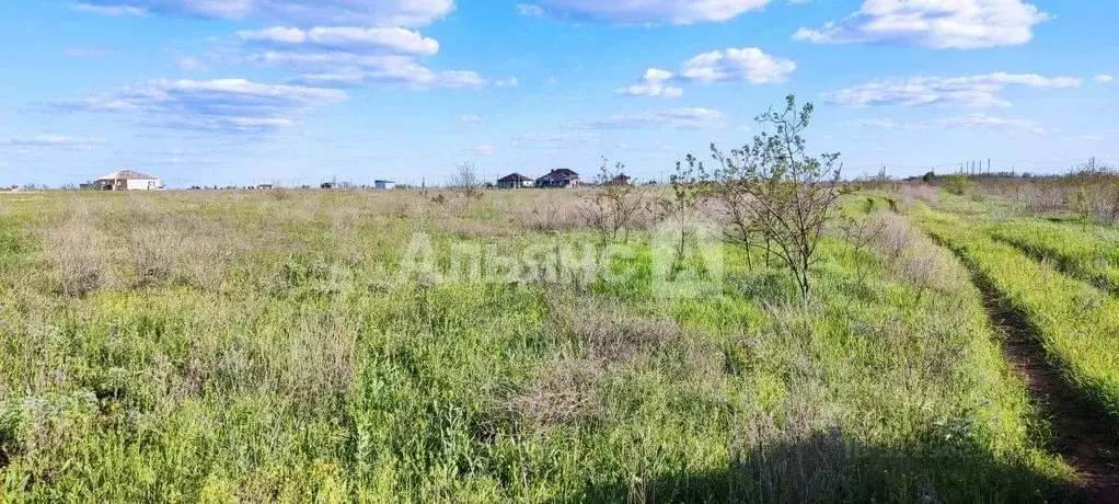 Участок в Ростовская область, Волгодонск ул. Сергея Ногина (6.0 сот.) - Фото 1