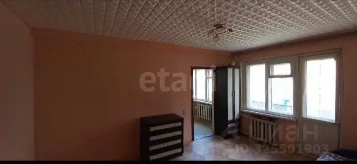 2-к кв. Саратовская область, Красноармейск 5-й мкр, 8 (36.0 м) - Фото 2