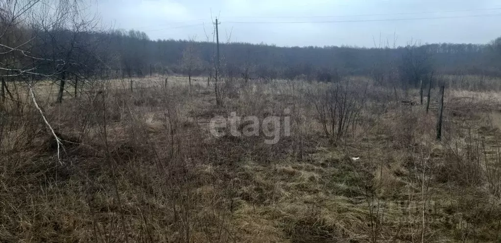 Участок в Воронежская область, Новоусманский район, с. Бабяково ... - Фото 0