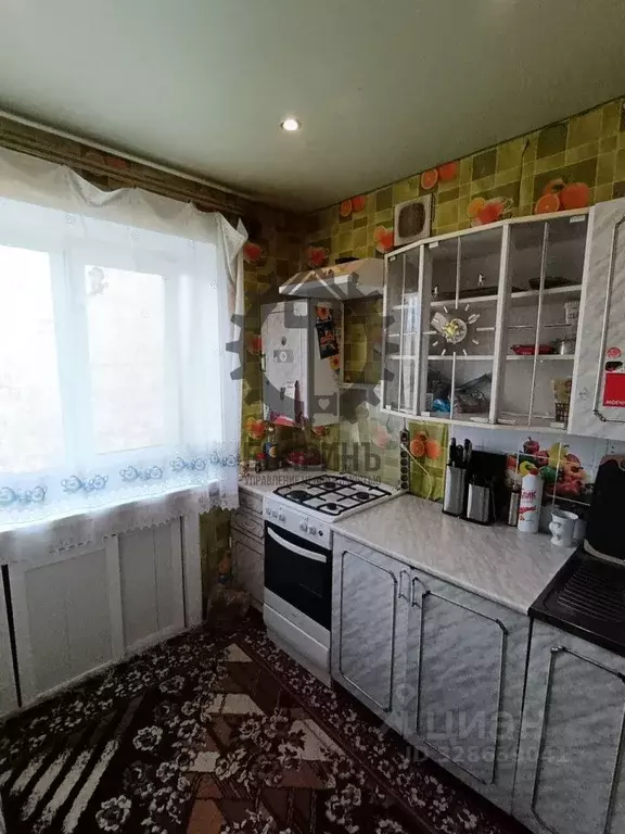 Комната Свердловская область, Екатеринбург ул. Чапаева, 55 (12.0 м) - Фото 1