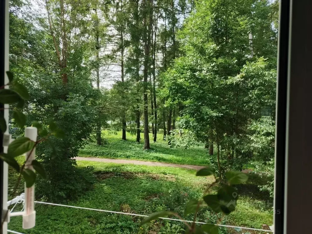 1-к кв. Тверская область, Конаково ул. Энергетиков, 2 (30.2 м) - Фото 2