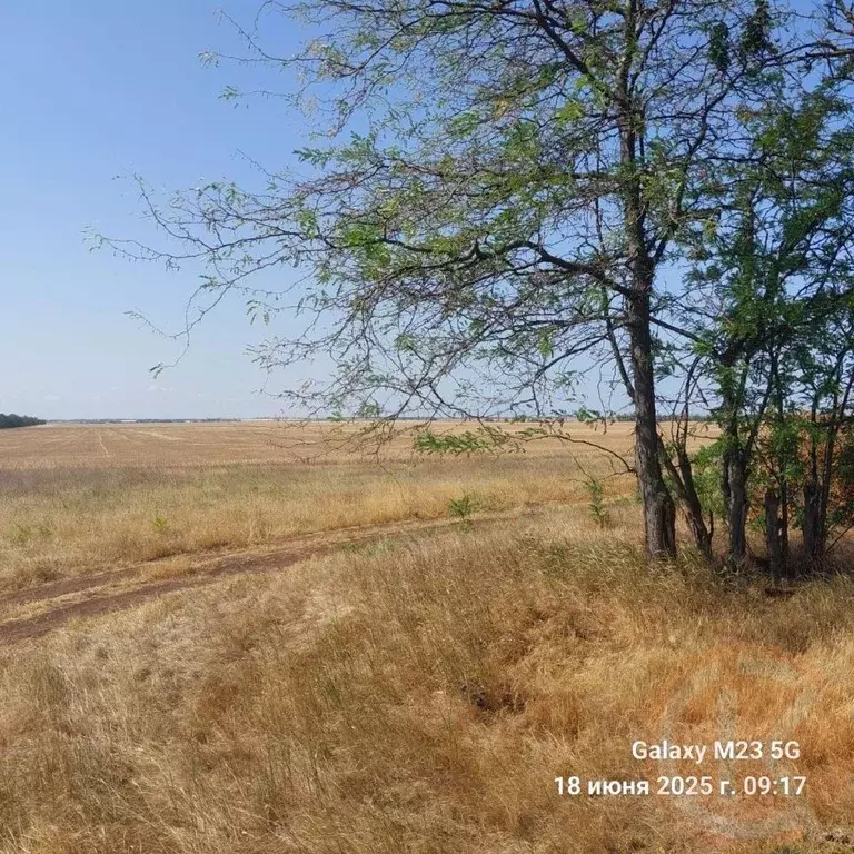 Участок в Крым, Черноморский район, с. Новоивановка  (6.0 сот.) - Фото 1