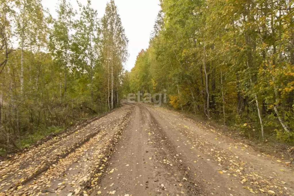 Участок в Тюменская область, Нижнетавдинский район, пос. Торгили  ... - Фото 0