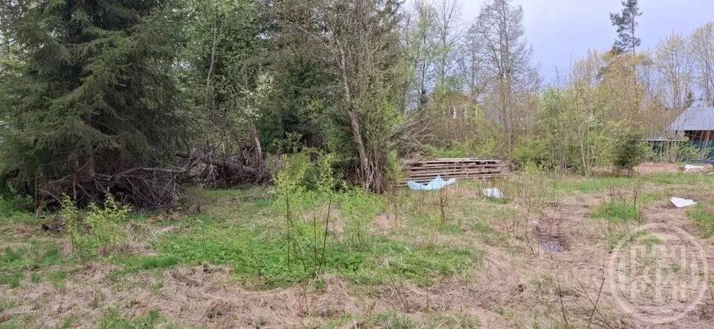Участок в Ленинградская область, Луга просп. Володарского (12.0 сот.) - Фото 0