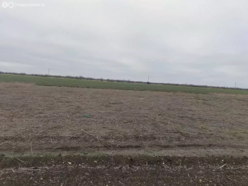 Участок в Ейск, Ивановская улица (6 м) - Фото 1
