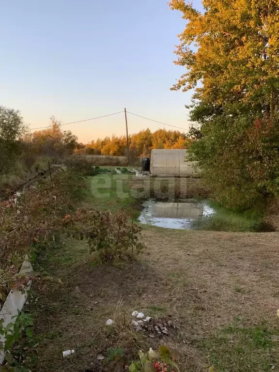 Участок в Еврейская автономная область, Смидовичский район, ... - Фото 1