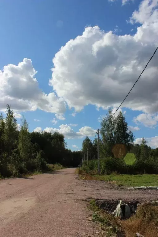 Участок в Ленинградская область, Тосненский район, Федоровское ... - Фото 2