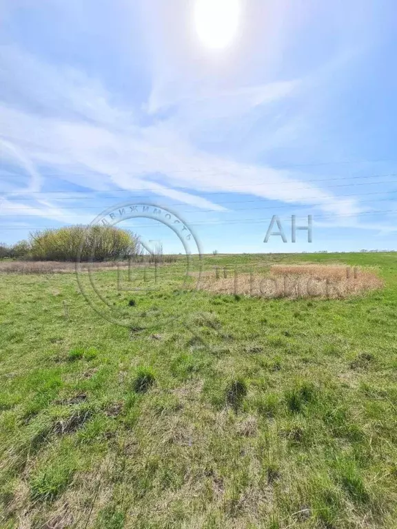 Участок в Курская область, Курский район, д. Полевая  (35.0 сот.) - Фото 1