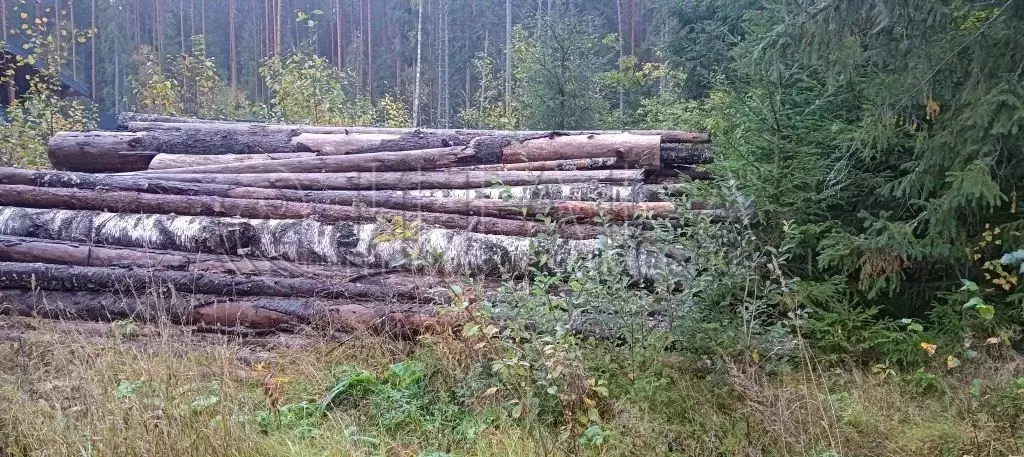 Участок в Ленинградская область, Лодейнопольский район, пос. ... - Фото 0