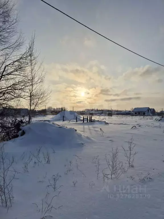 Участок в Новосибирская область, Новосибирский район, Березовский ... - Фото 1