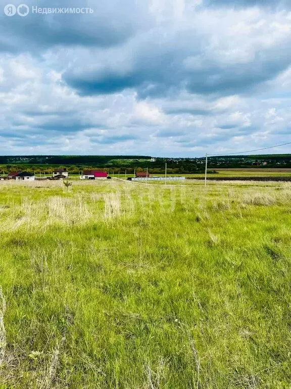 Участок в Новоусманский район, село Бабяково (7.2 м) - Фото 1