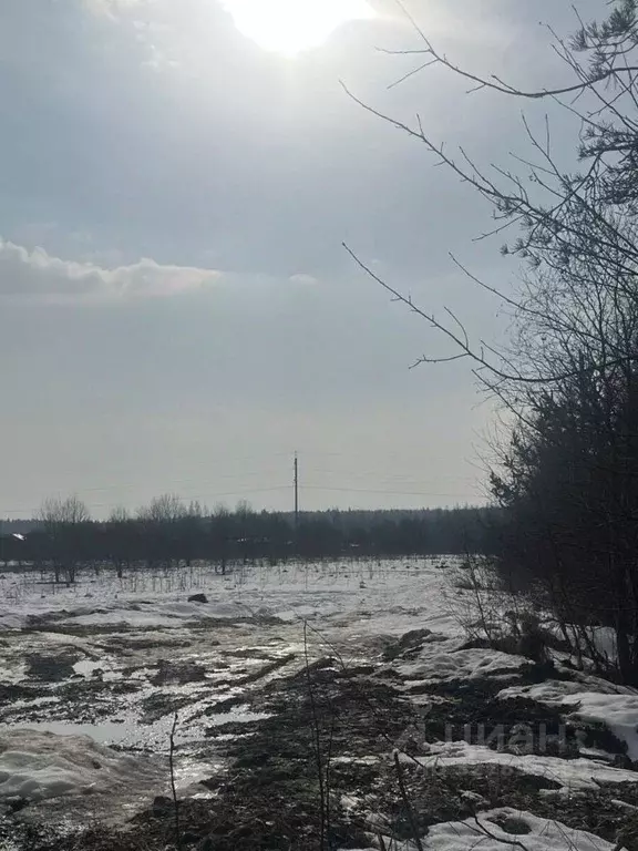 Участок в Ленинградская область, Ломоносовский район, Пениковское ... - Фото 1