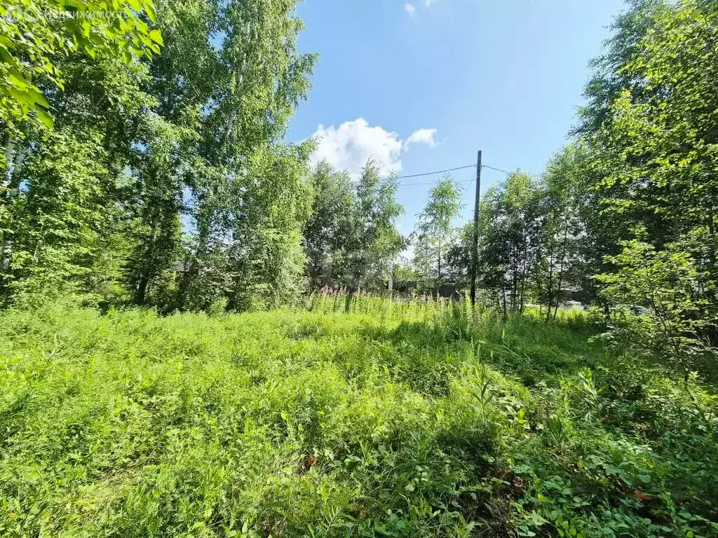 Участок в деревня Малиновка, Ягодная улица (10.2 м) - Фото 1
