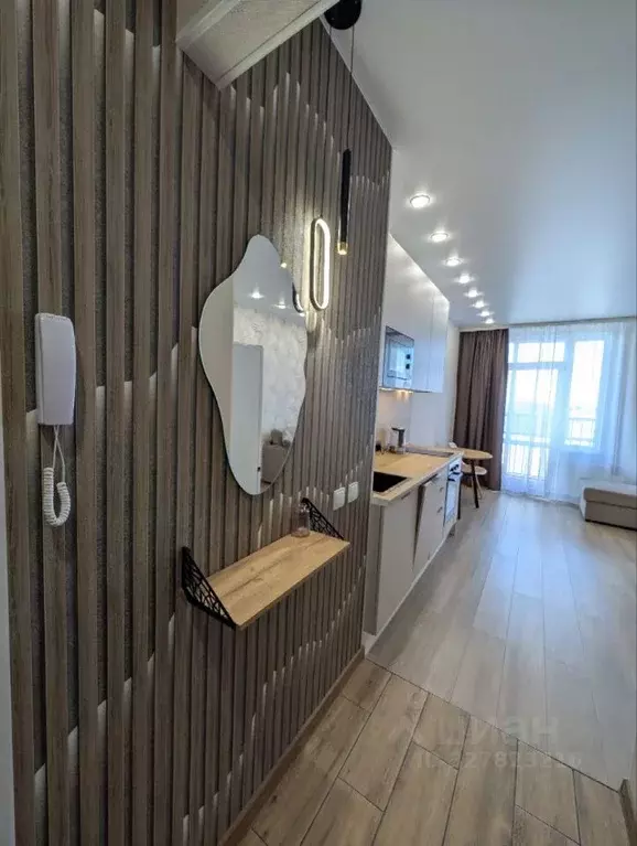 Студия Санкт-Петербург пос. Шушары, ул. Чудовская, 14к2 (25.0 м) - Фото 1