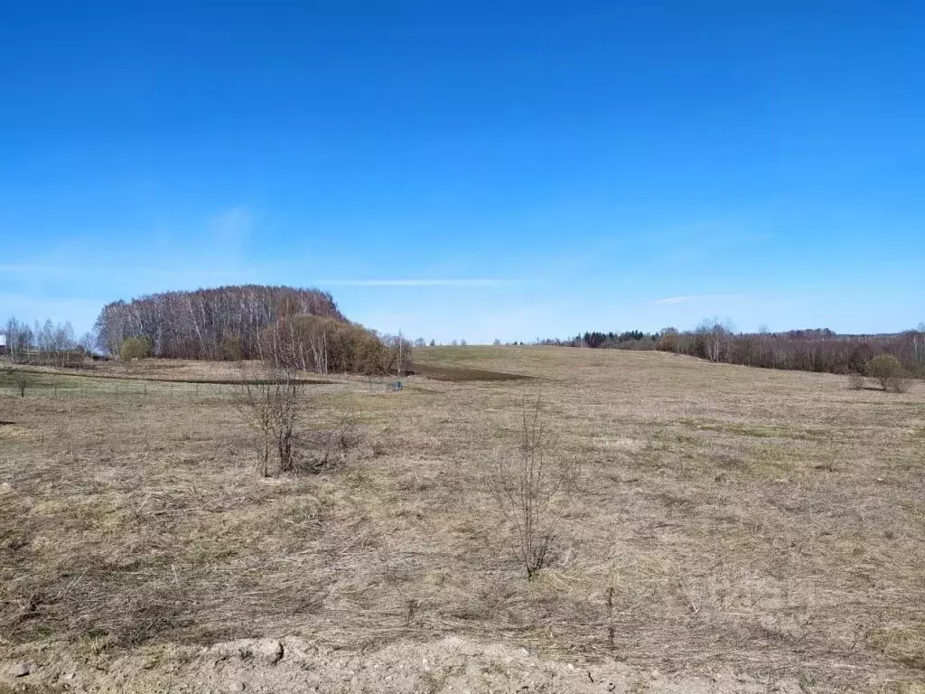 Участок в Смоленская область, Смоленский муниципальный округ, д. ... - Фото 1