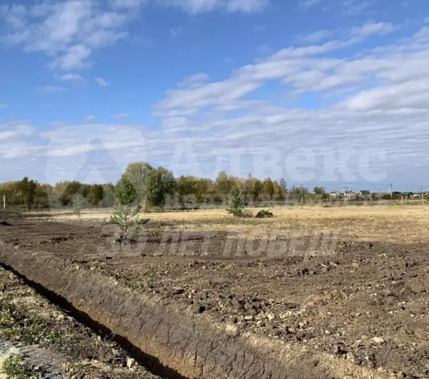 Участок в Тюменская область, Нижнетавдинский муниципальный округ, ... - Фото 1