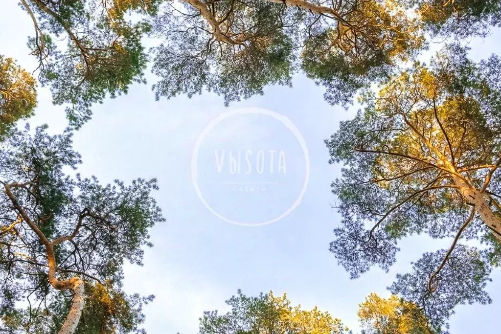 Участок в Московская область, Одинцовский городской округ, пос. ... - Фото 1