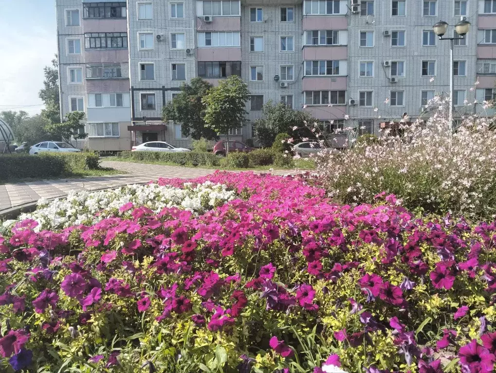 Продаётся 3-к квартира, 72 м - Фото 0