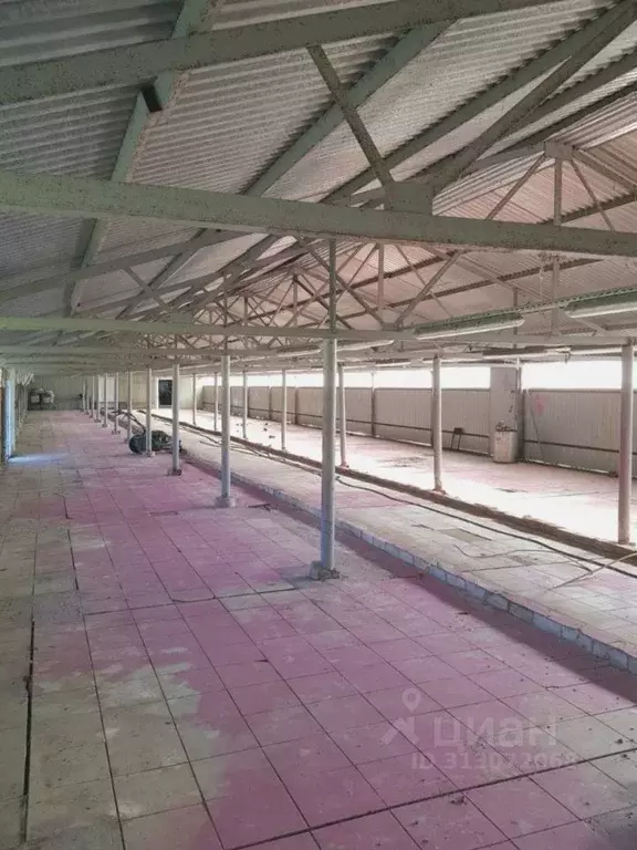 Помещение свободного назначения в Владимирская область, Собинский ... - Фото 1