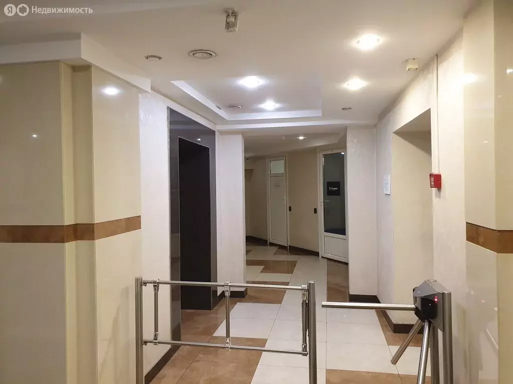 Офис (45.6 м) - Фото 2