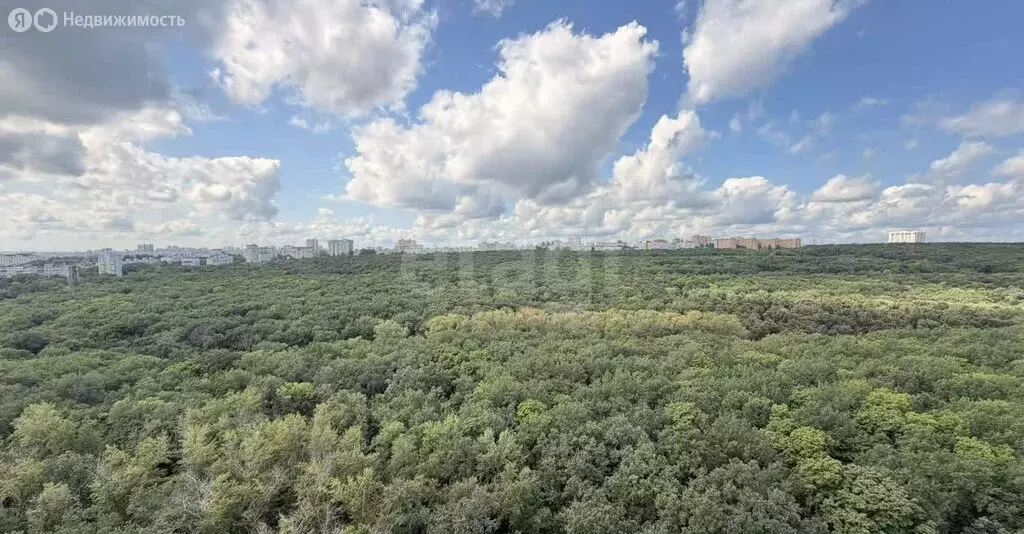 Квартира-студия: Самара, улица Стара-Загора, 240 (29.8 м) - Фото 2