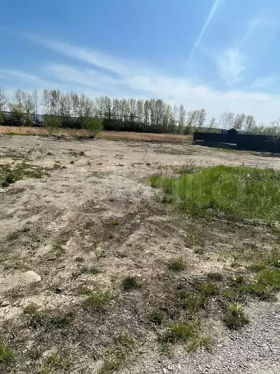 Участок 10 сот. (СНТ, ДНП) - Фото 1