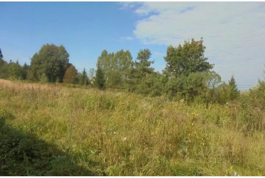 Участок в Московская область, Дмитровский муниципальный округ, пос. ... - Фото 1