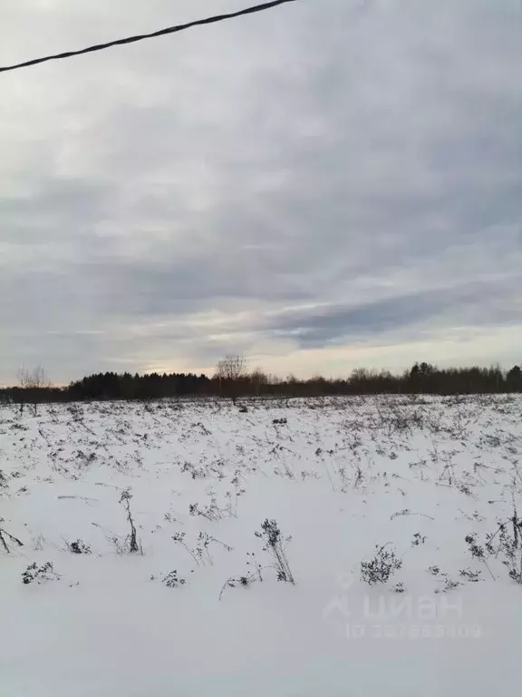 Участок в Московская область, Можайский городской округ, Клеверово кп  ... - Фото 1