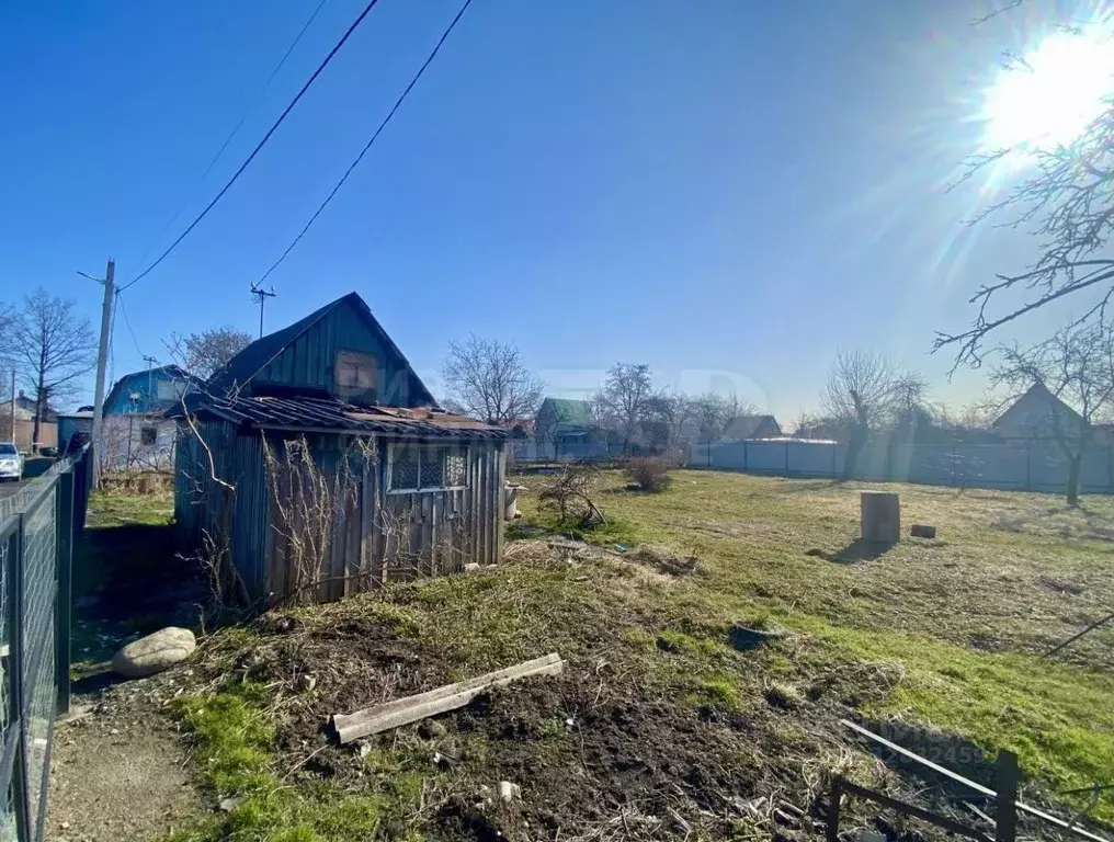 Участок в Калининградская область, Калининград Вишневый сад СНТ, ... - Фото 2