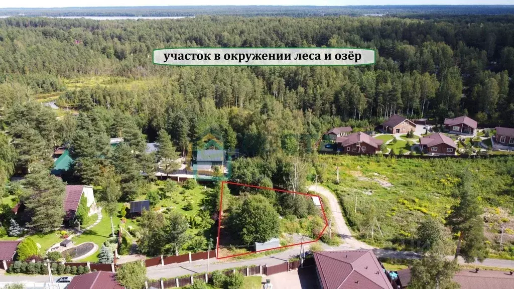 Участок в Ленинградская область, Всеволожский район, Куйвозовское ... - Фото 1