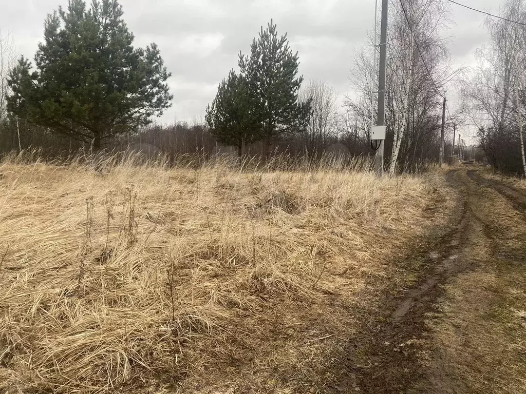 Участок 6 сот. (СНТ, ДНП) - Фото 0